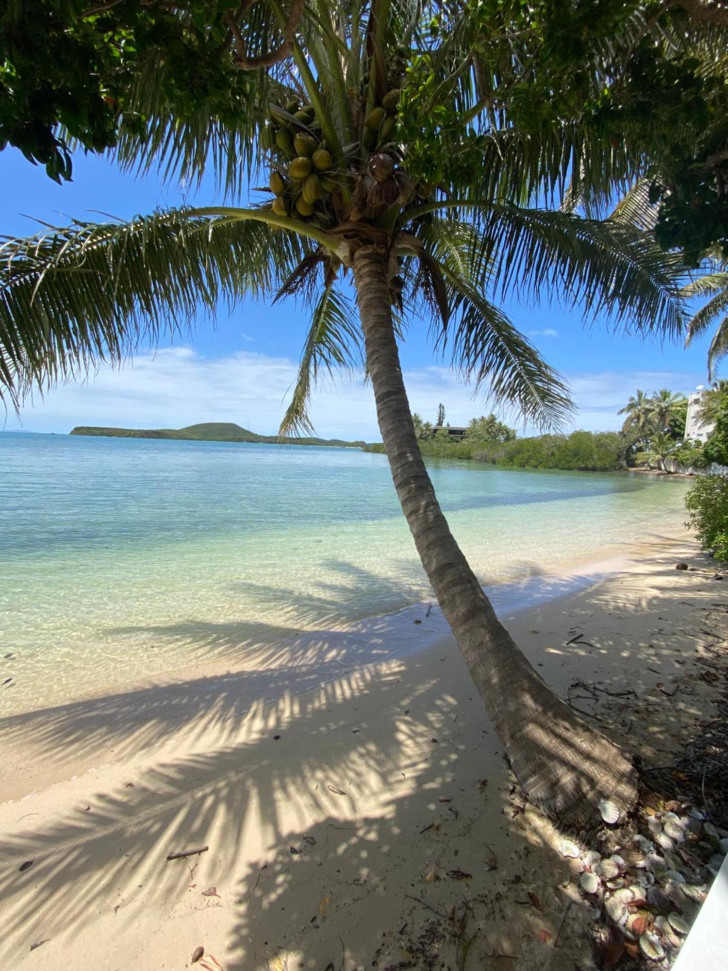 Michelle'S Flat By The Sea Appartement Noumea Buitenkant foto